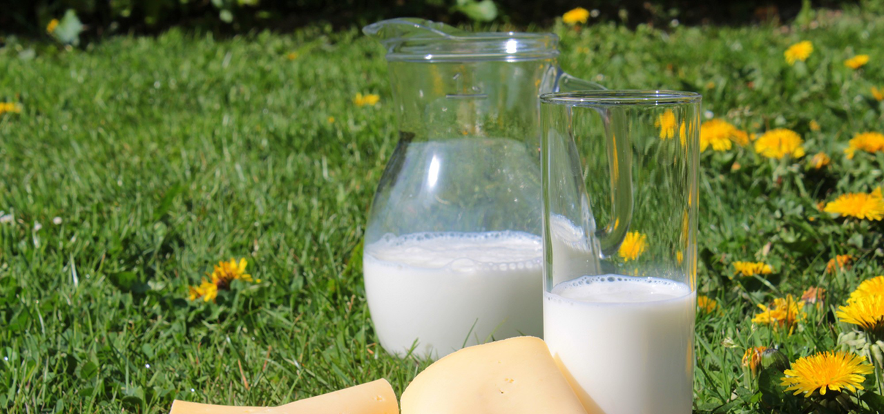 Hidden Imbalance: 8 Common Food Intolerances You May Have