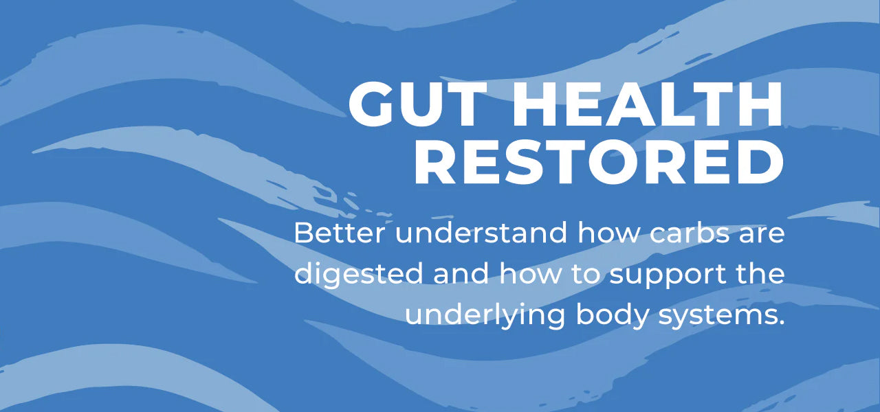 Gut Health Restored - Carbohydrate Digestion