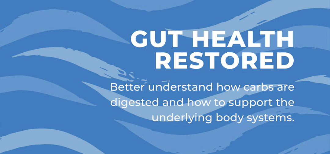 Gut Health Restored - Carbohydrate Digestion