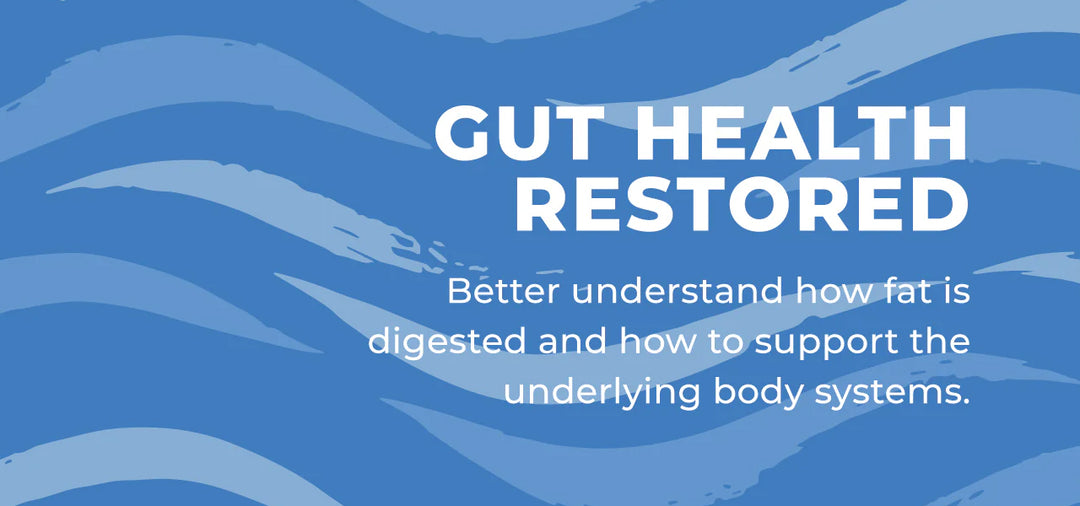 Gut Health Restored - Fat Digestion