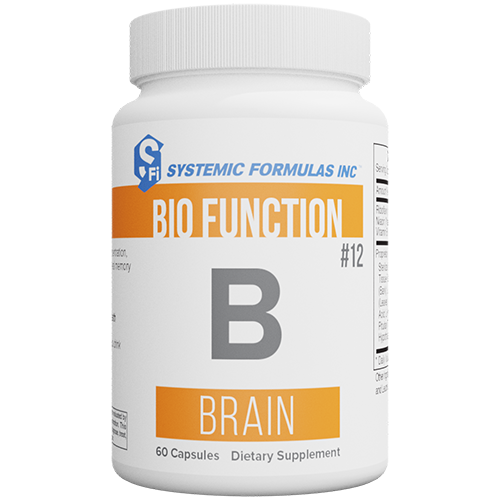 B – Brain