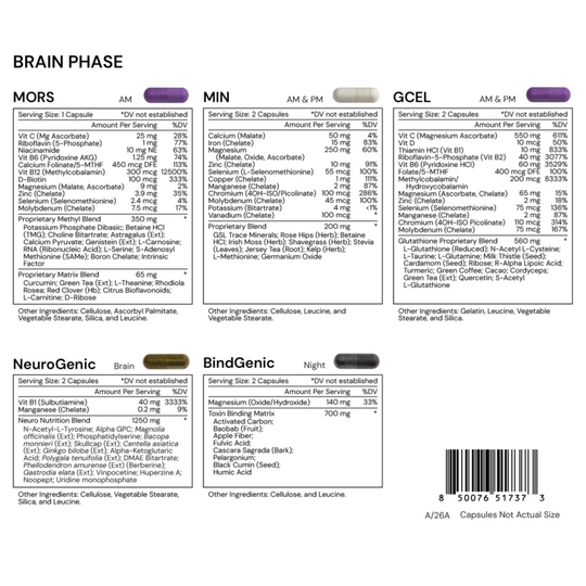 BRAIN PHASE