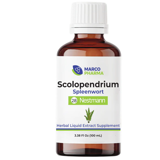 Scolopendrium No. 28