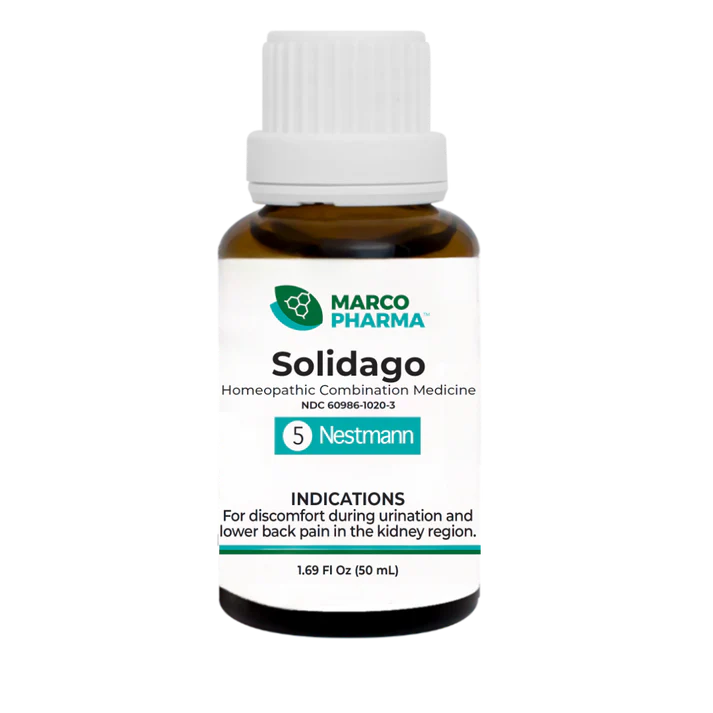 Solidago No. 5
