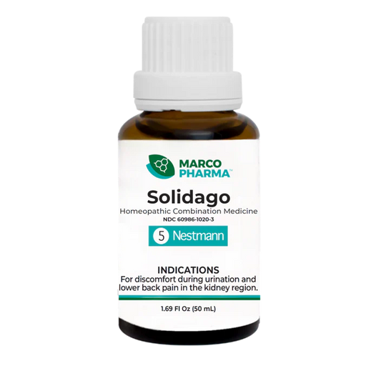 Solidago No. 5